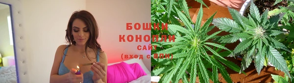 спайс Каменка