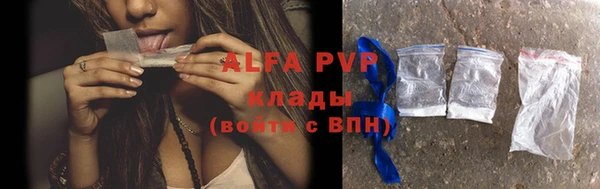 спайс Каменка