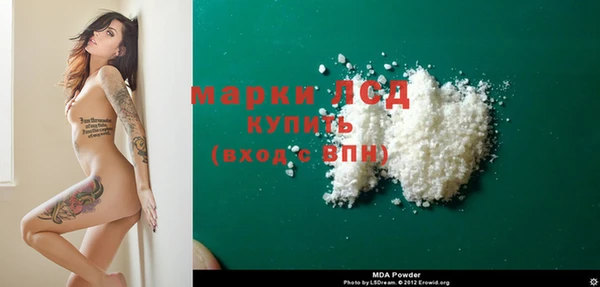 спайс Каменка