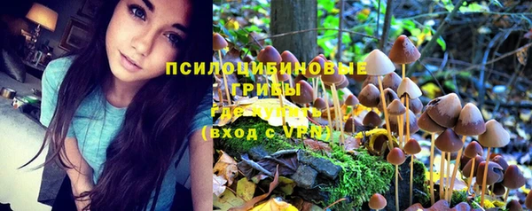 мефедрон Каменногорск