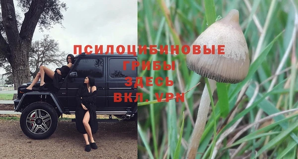 мефедрон Каменногорск