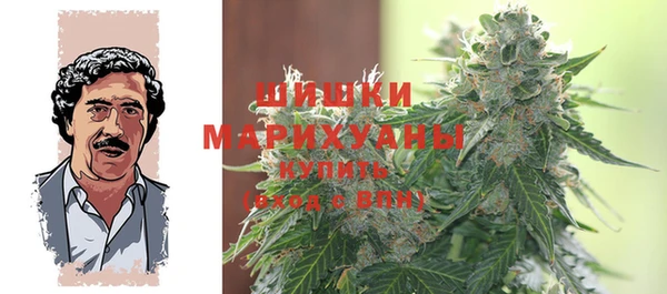 спайс Каменка