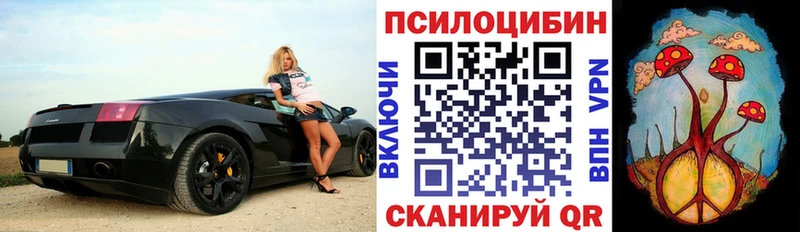 Псилоцибиновые грибы Psilocybe  Купить закладки  Грозный 
