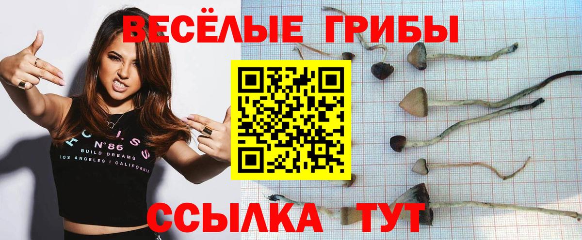 Грозный  где купить   Вход с VPN  Галлюциногенные грибы GOLDEN TEACHER  Галлюциногенные грибы Magic Shrooms 