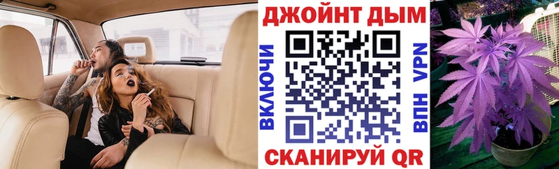Купить закладки  Грозный  МАРИХУАНА гибрид 